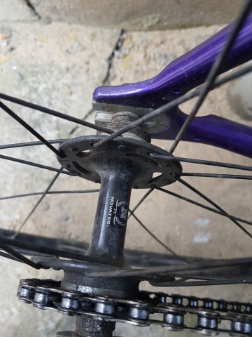 픽시 엔진11 이미지#2