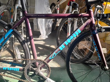 씨넬리 이미지#1