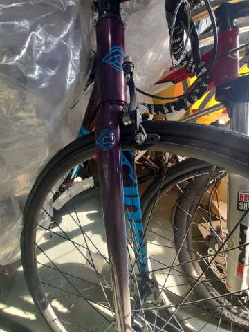 씨넬리 이미지#2