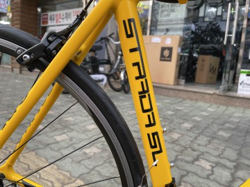 콜라고 이미지#9