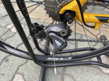 콜라고 이미지#2