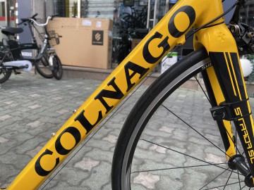 콜라고 이미지#8