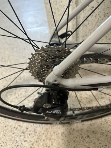 자이언트 scr 이미지#3