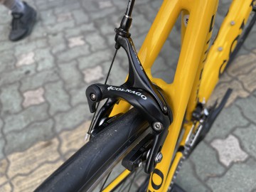 콜라고 이미지#7